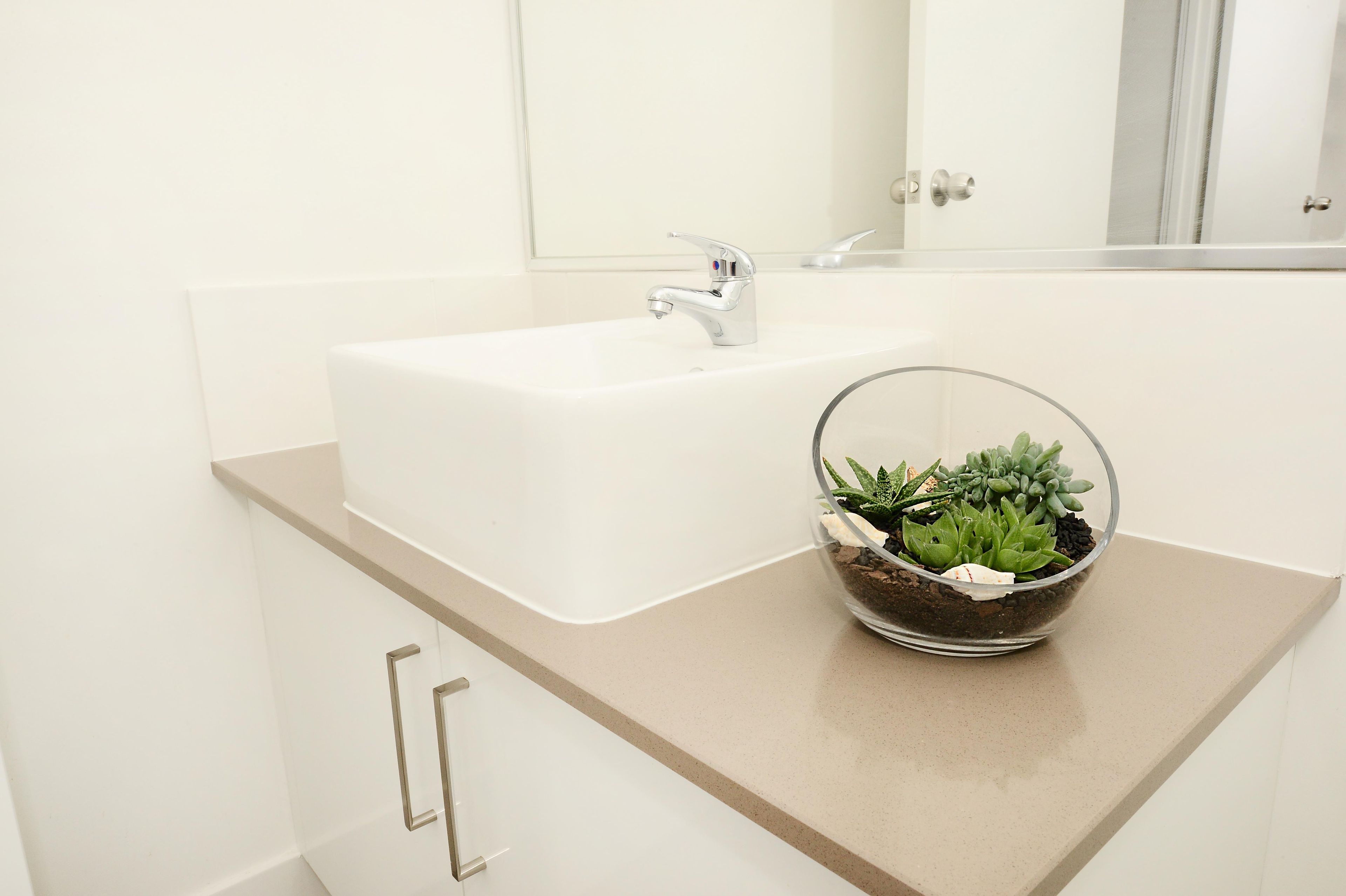 A bathroom with a white sink, a glass bowl with succulents, and a mirror above the sink.