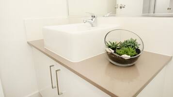 A bathroom with a white sink, a glass bowl with succulents, and a mirror above the sink.