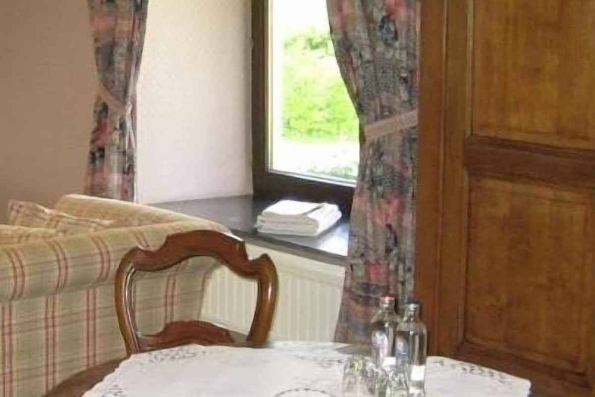 standard double room, annex building | living area | flat-screen tv, ping pong