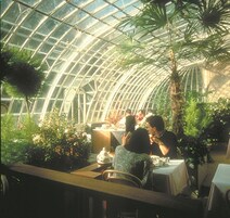 Lunch and dinner served