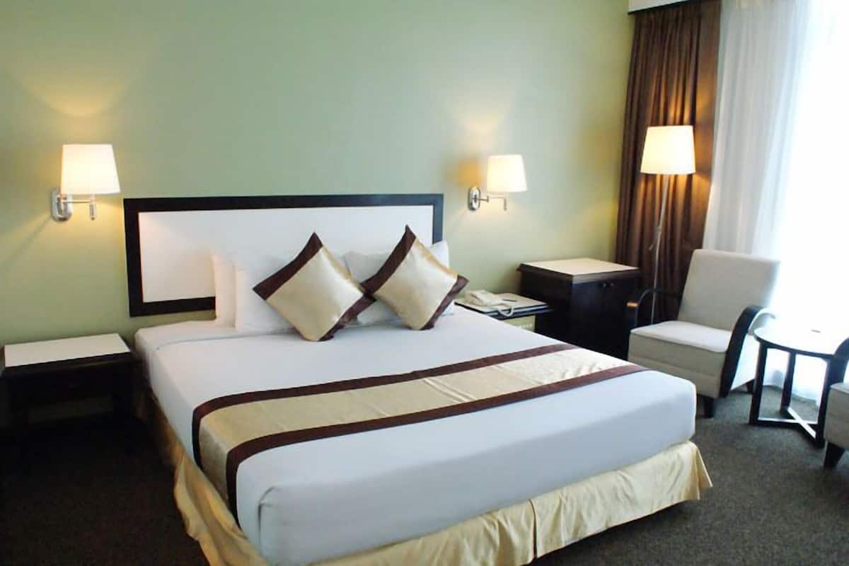 Executive King | In-room safe, desk, iron/ironing board, free WiFi