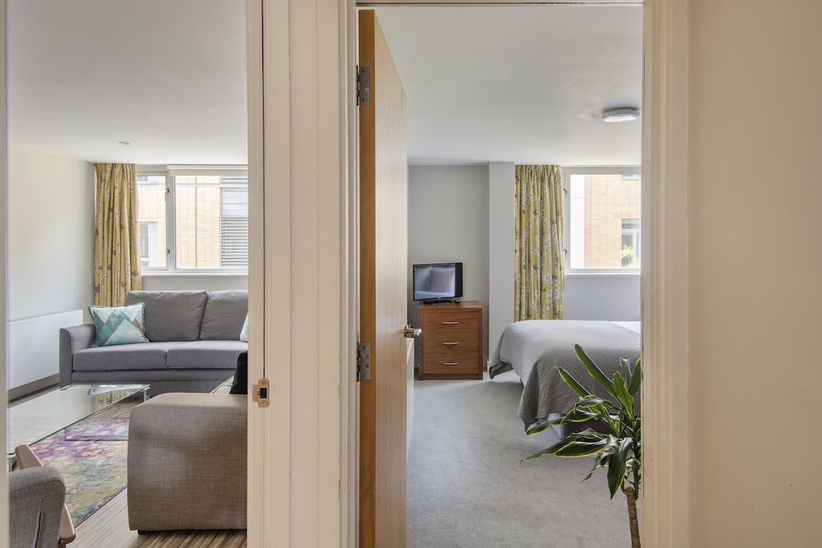A hotel room with a sofa, a bed, a television, and a plant.