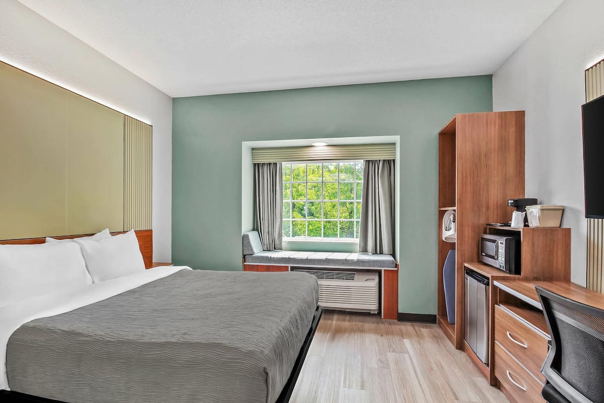 Room, 1 Queen Bed, Accessible, Non Smoking | Desk, laptop workspace, iron/ironing board, free cribs/infant beds