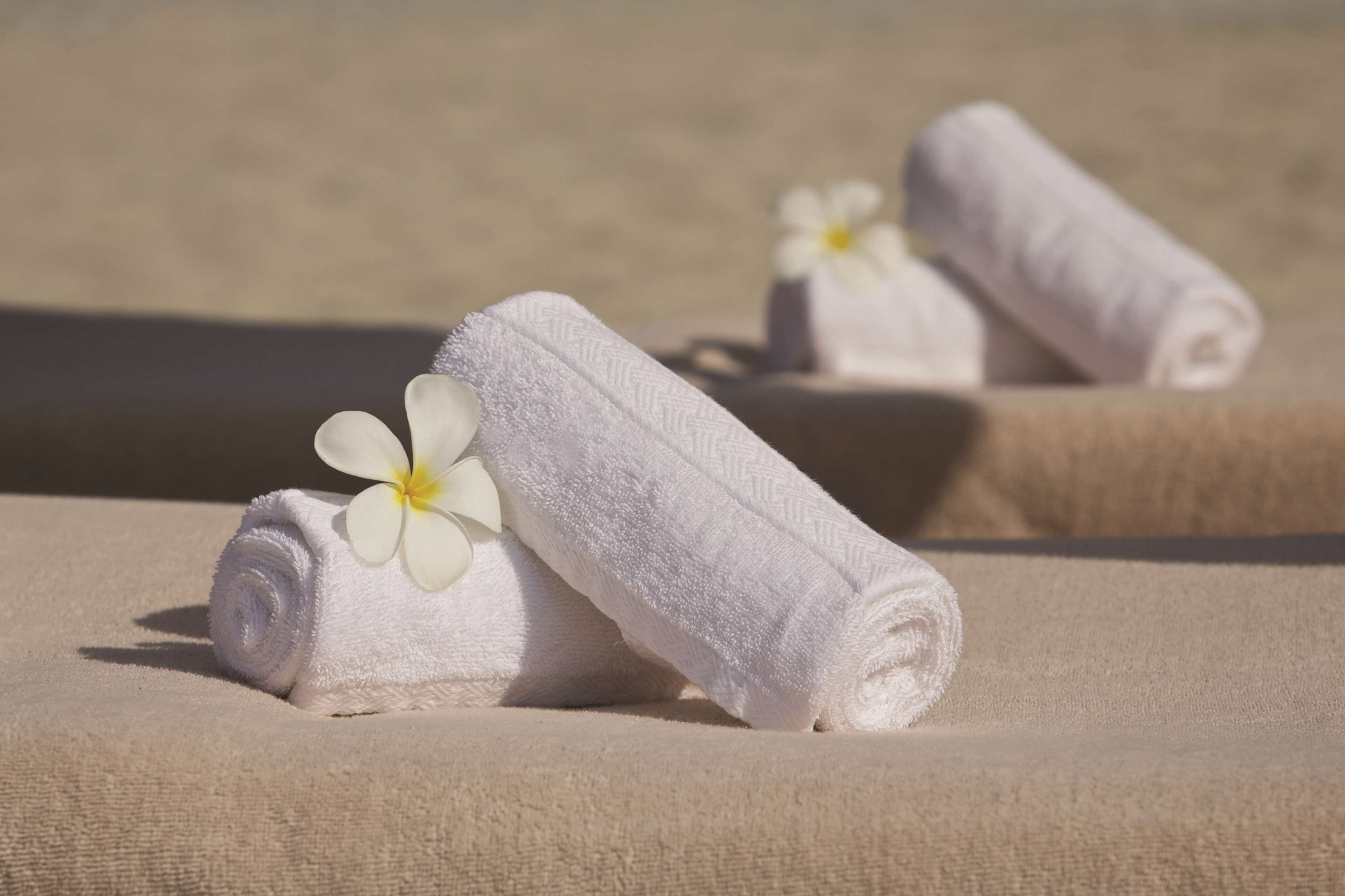 Photo - DoubleTree by Hilton Dubai Jumeirah Beach