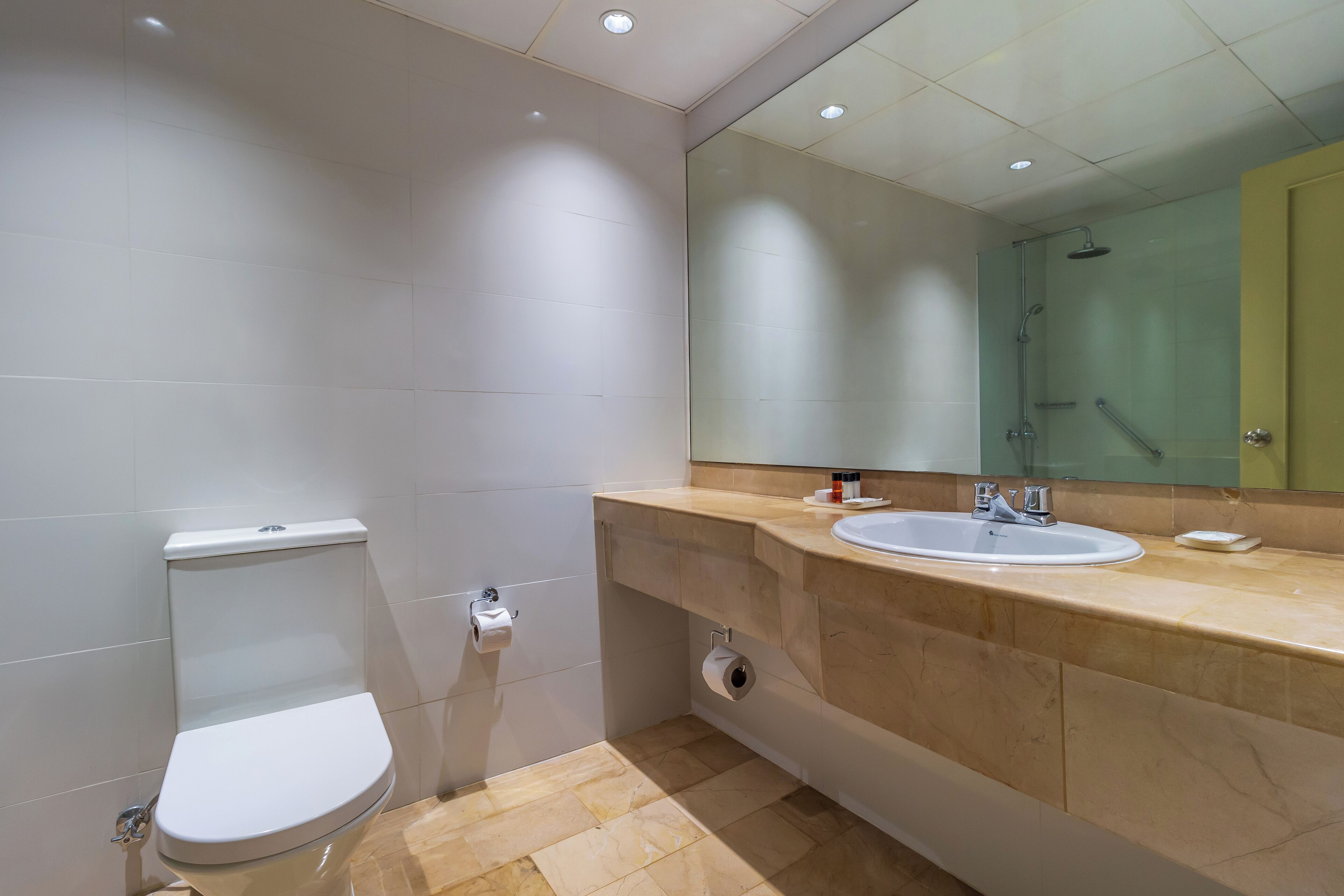 A modern bathroom with a toilet, sink, and mirror.