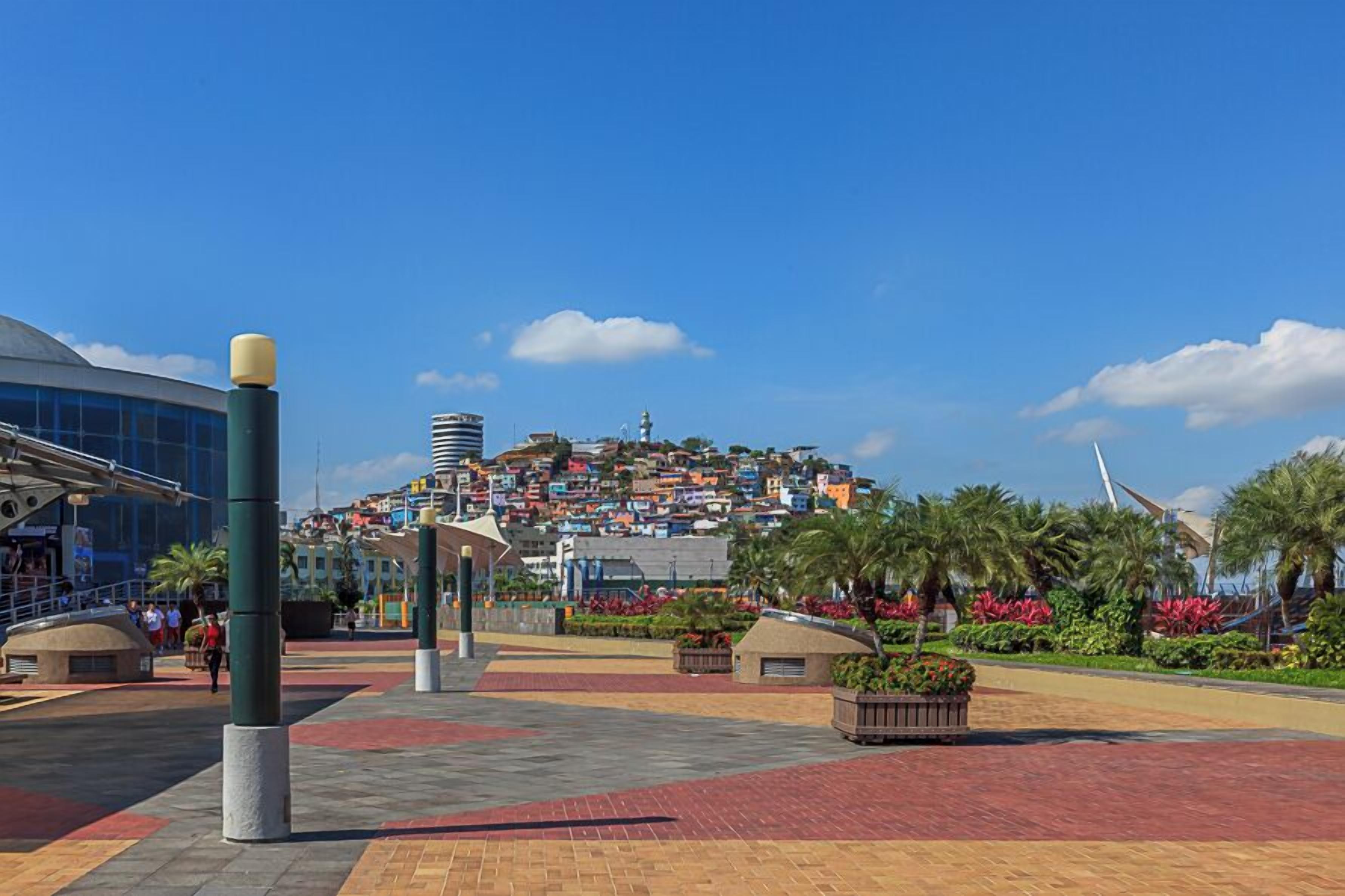 A plaza with a modern building, a hill with colorful houses, and palm trees.