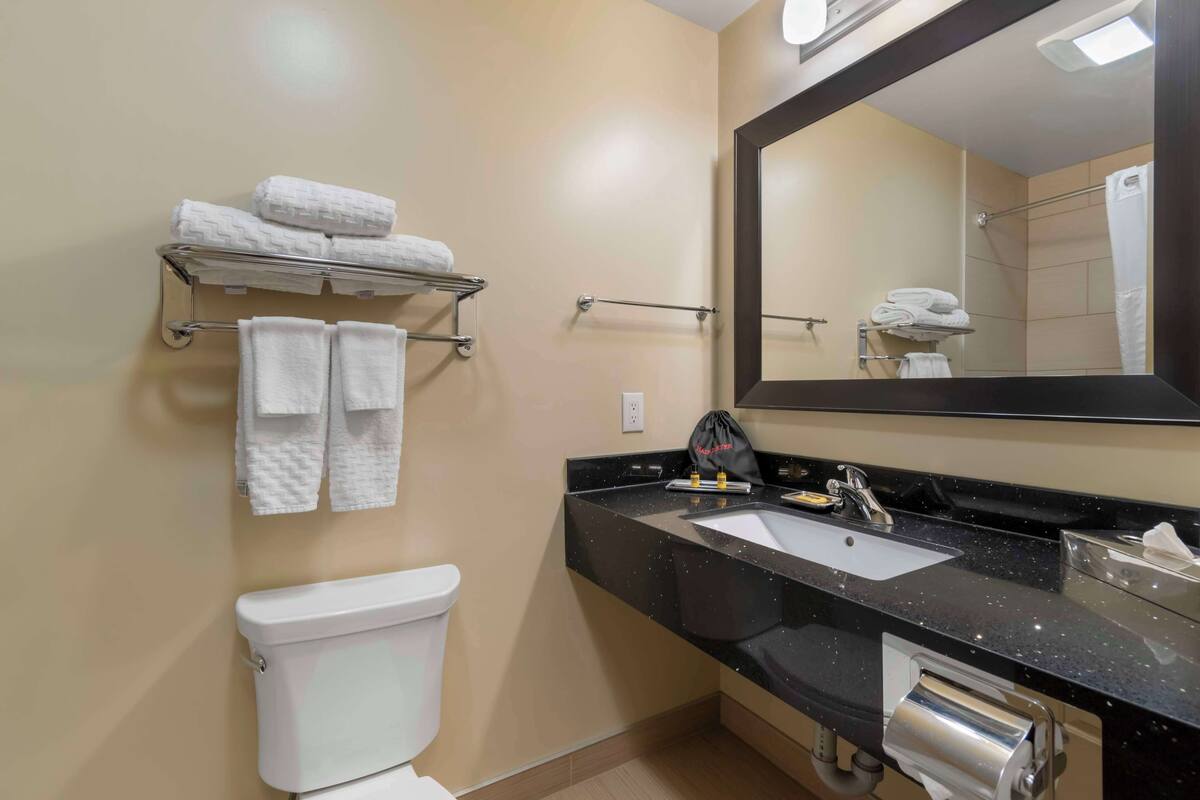 separate bathtub and shower, rainfall showerhead, free toiletries