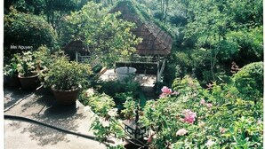 A garden with a thatched-roof structure surrounded by lush greenery and potted plants. - Terrasse Des Roses (Lang Biang - Da Lat)