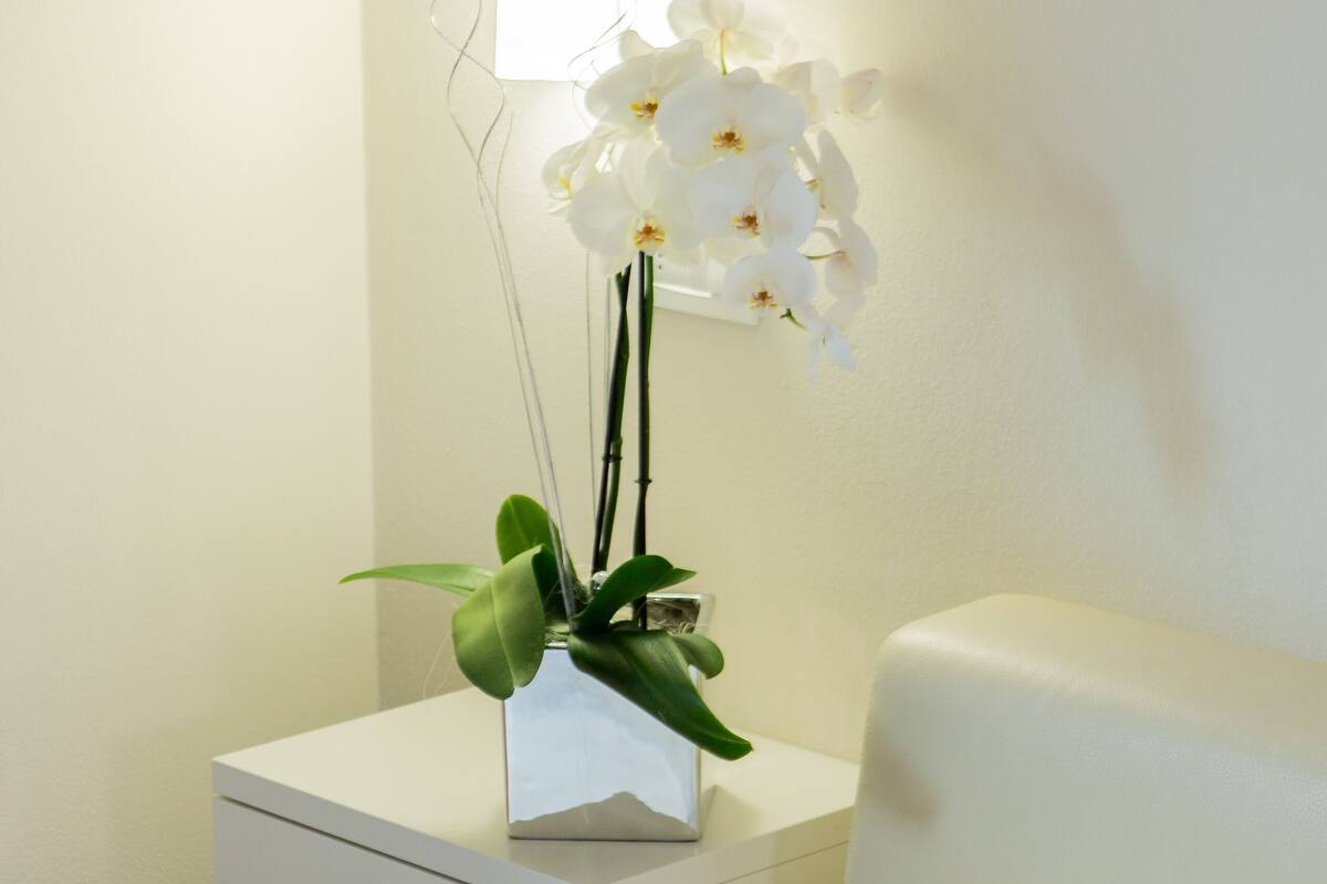 Una cama bien tendida con sábanas blancas, una mesita de noche blanca con una lámpara, y una orquídea blanca en un jarrón.