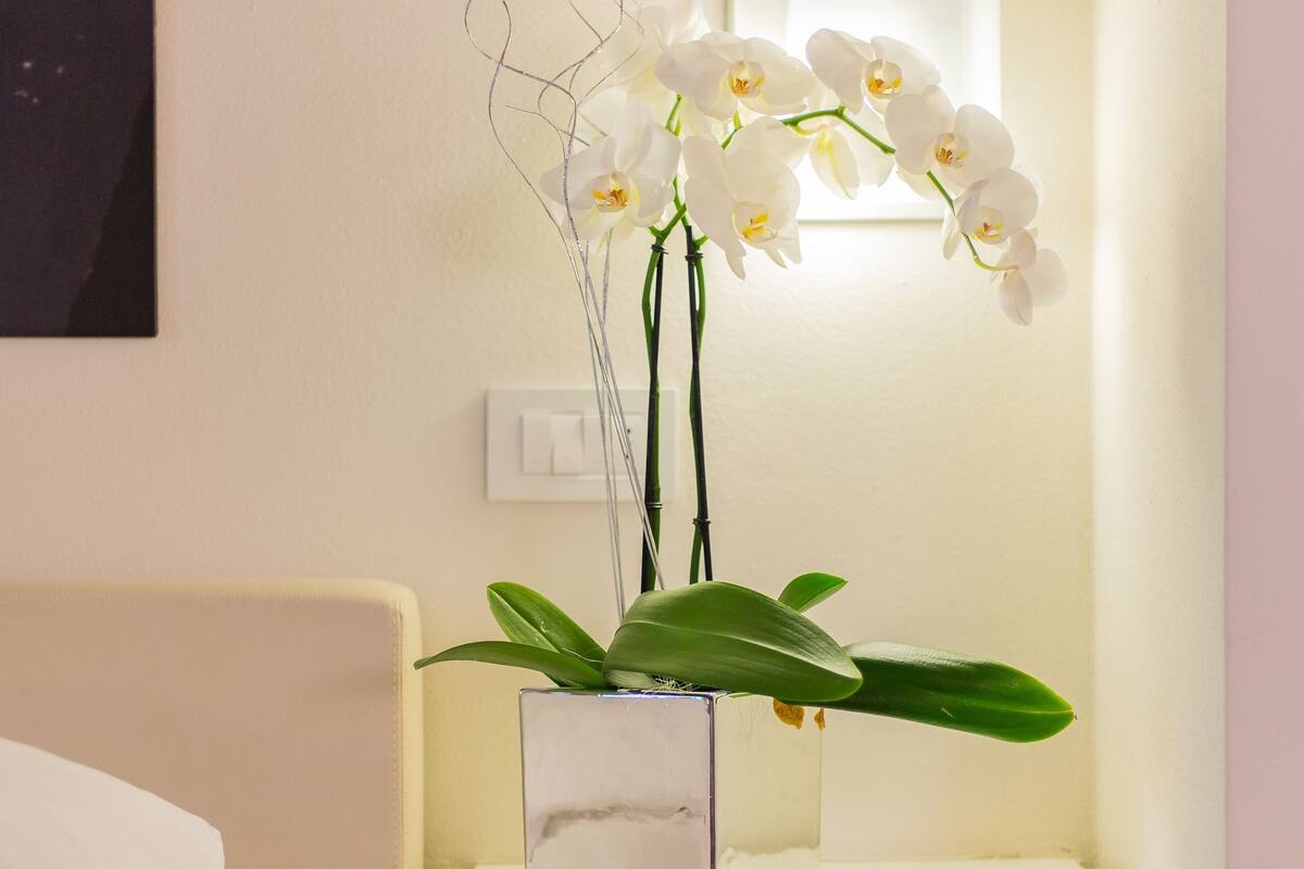 Una mesita de noche blanca con un jarrón de orquídeas blancas y una pequeña planta en maceta.