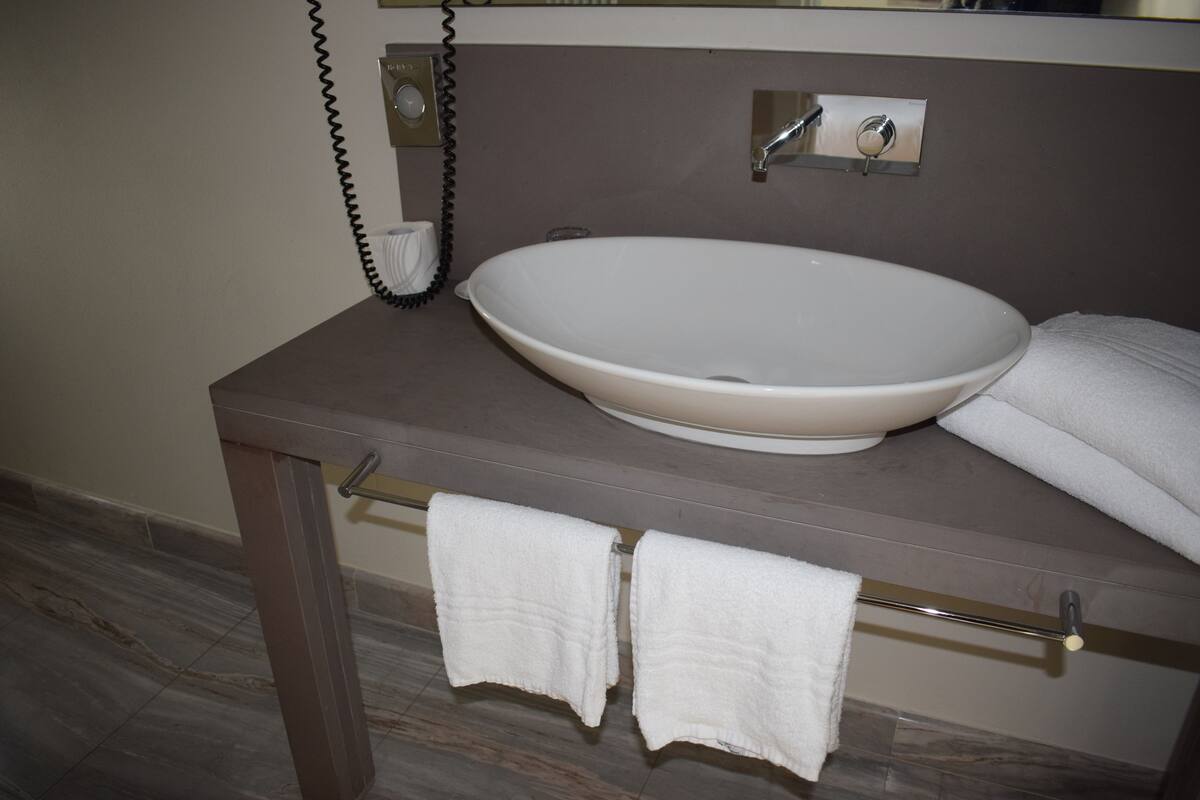 economy room | bathroom | shower, free toiletries, hair dryer, bathrobes