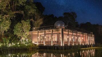 Un moderno edificio de vidrio con estructura en forma de cúpula, rodeado de árboles y una masa de agua, bajo un cielo nocturno estrellado.