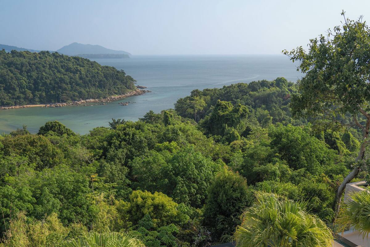 A pool area with two people relaxing, surrounded by lush greenery and a view of the sea.