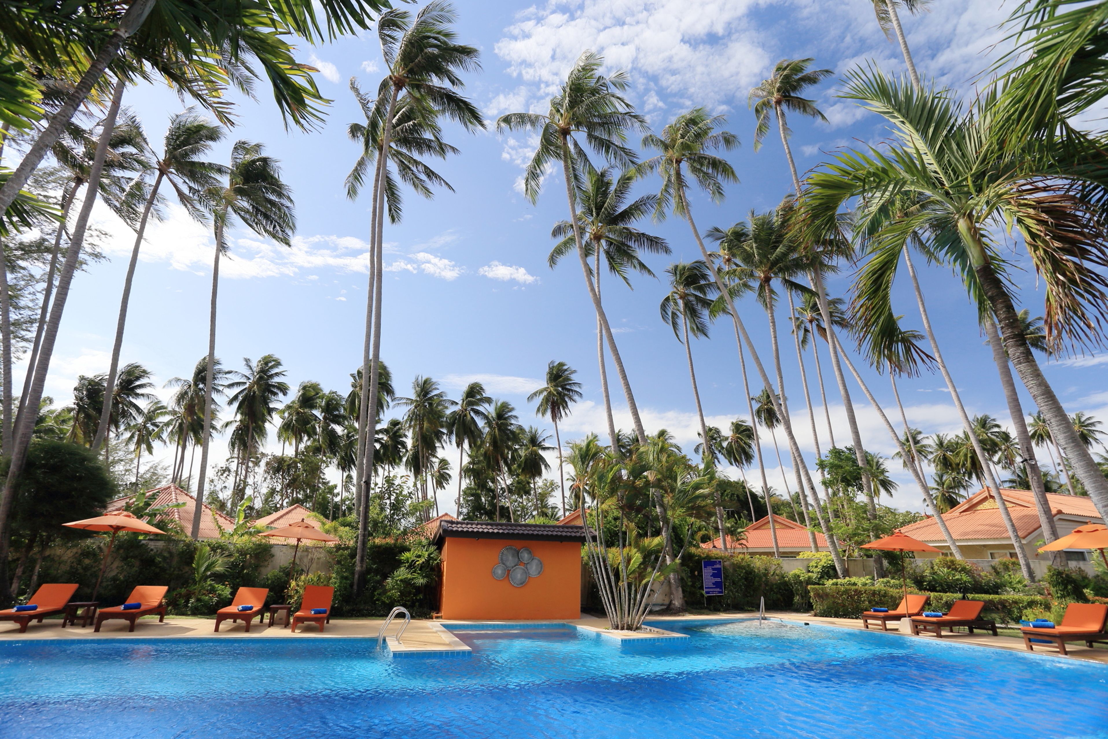 outdoor pool, pool loungers