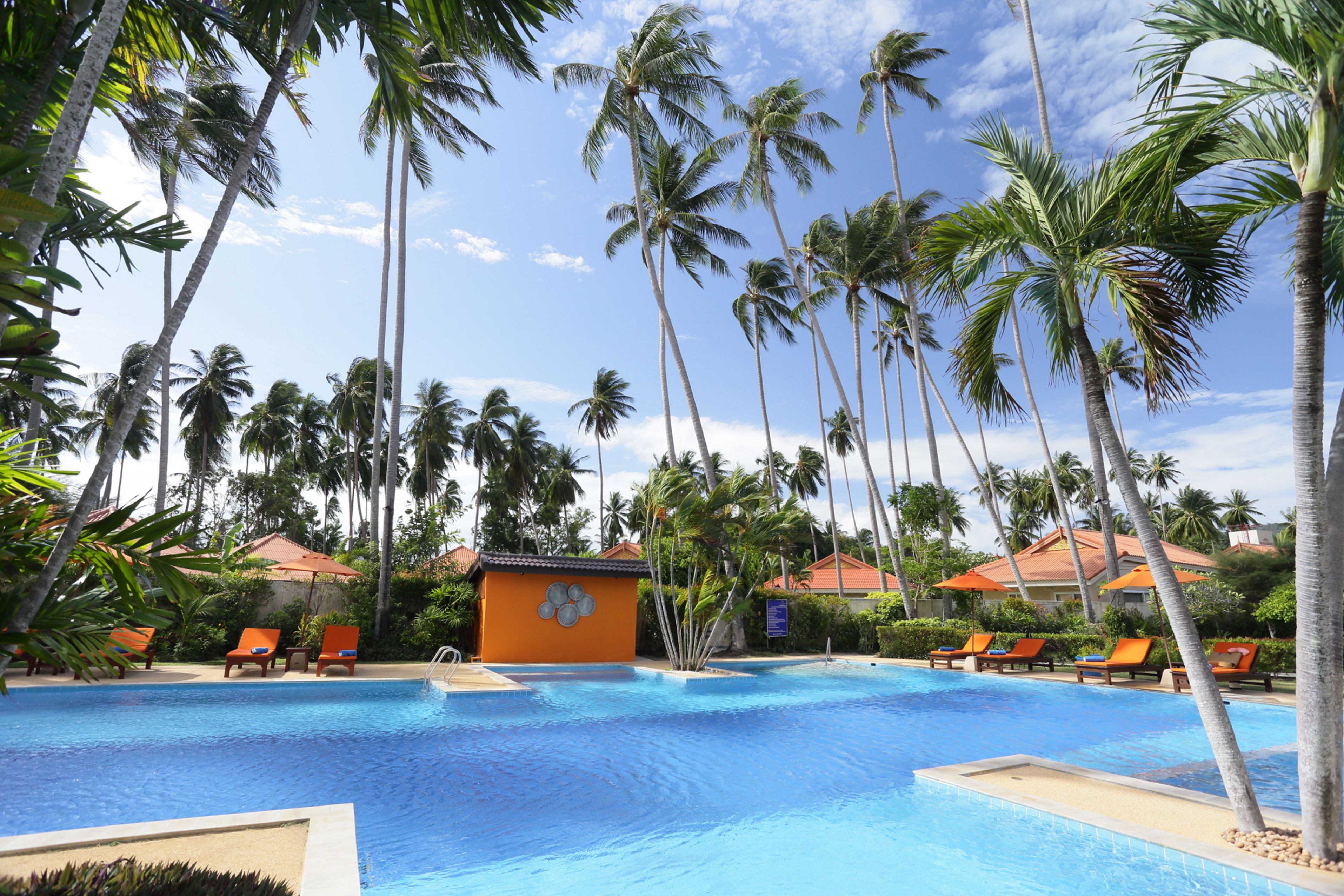 outdoor pool, pool loungers
