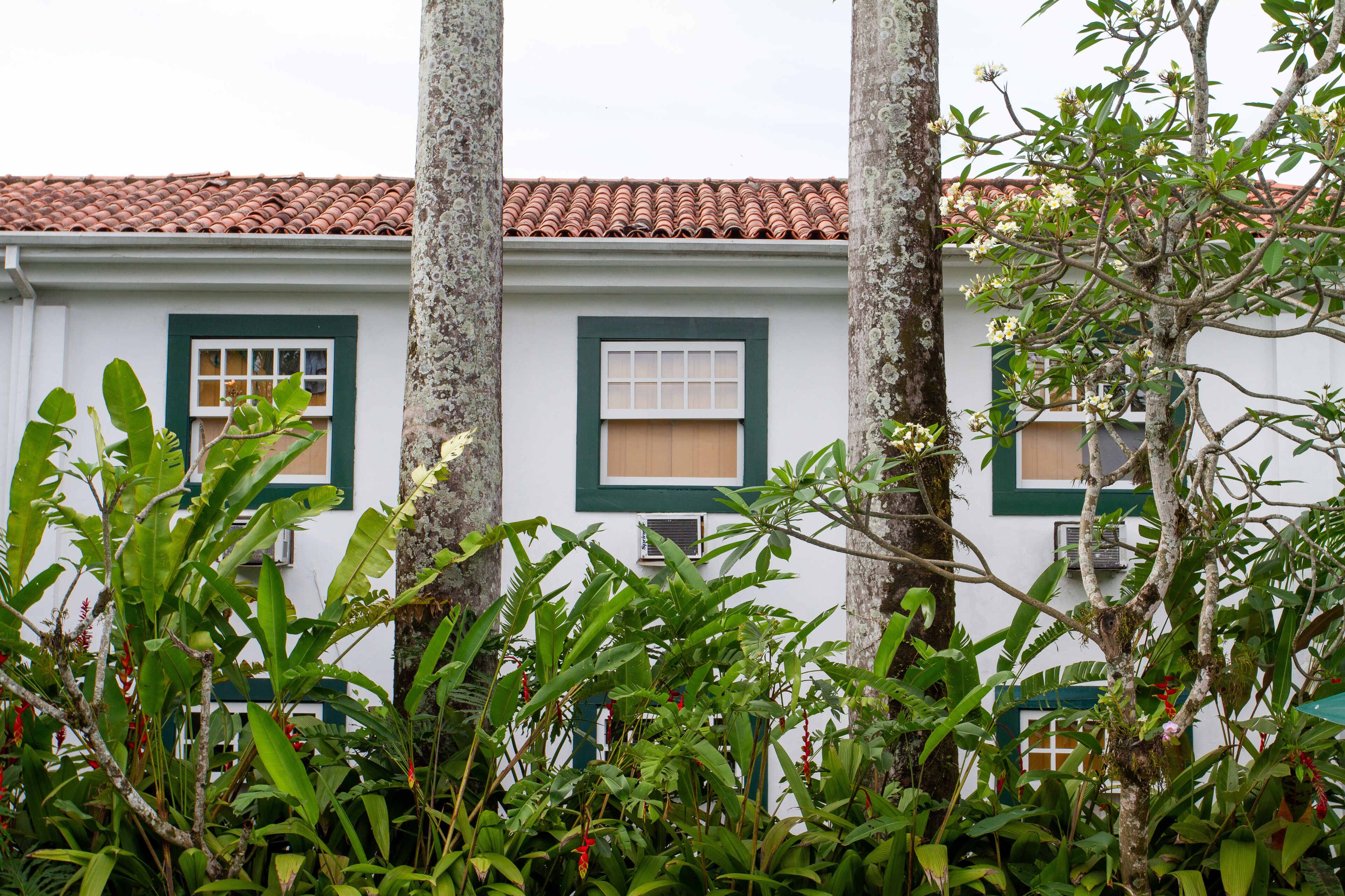 standard double or twin room | garden view