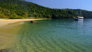 Paseos en bote
