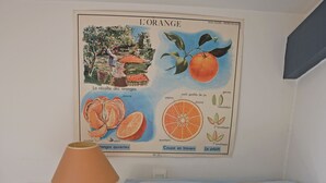 A living room with a blue sofa, yellow and grey pillows, a lamp, and a poster on the wall.