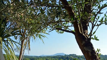 Superior tweepersoonskamer, terras | Exterieur