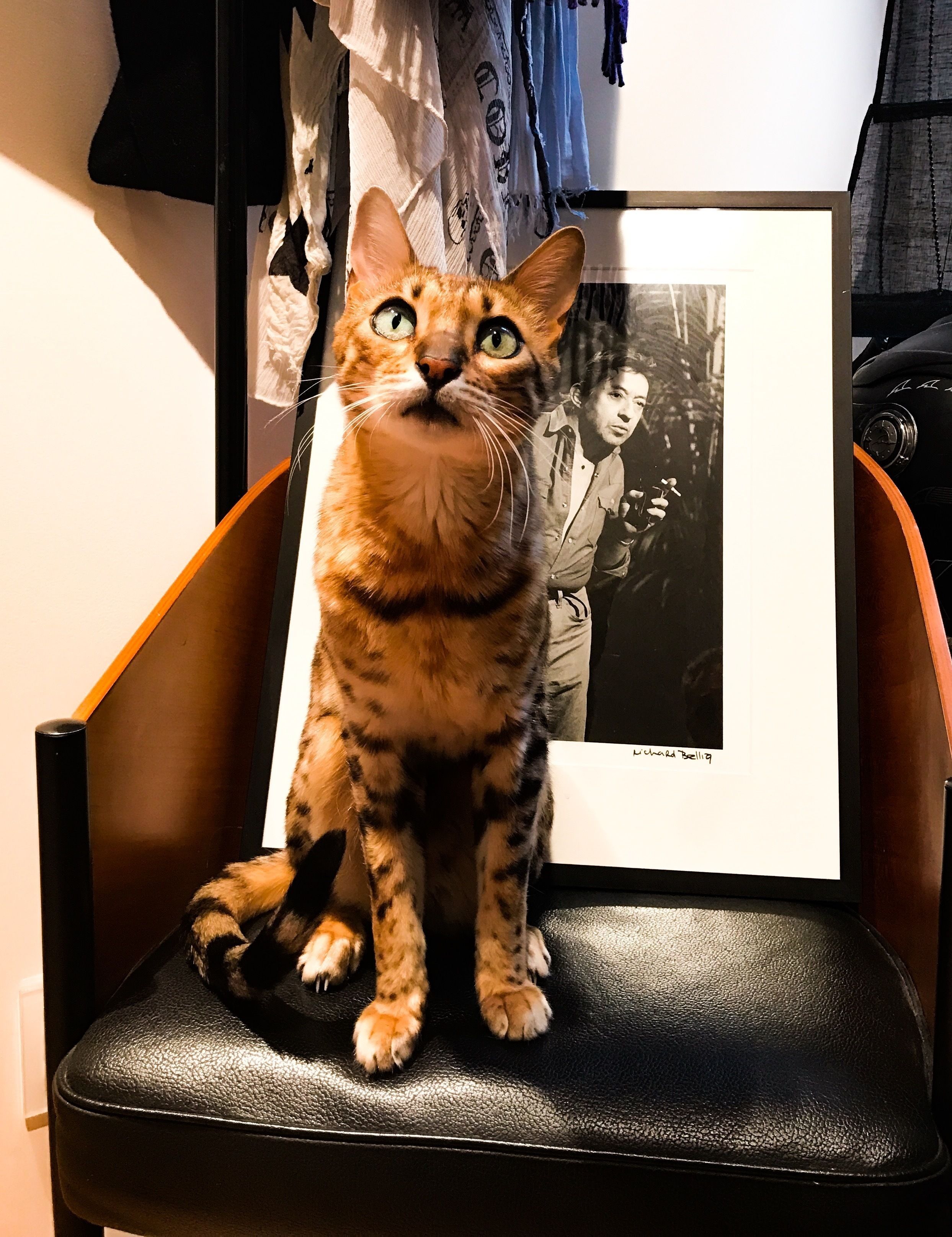 Foto - Hotel de Paris