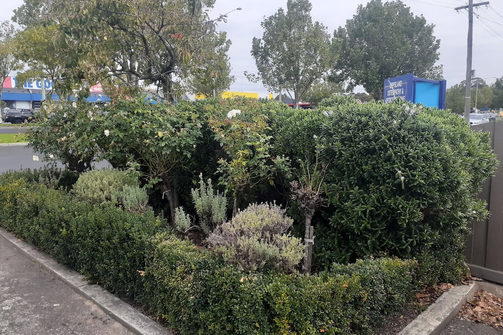 City Gardens Motel Traralgon