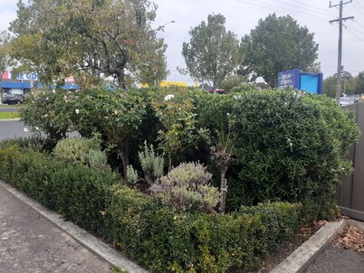 City Gardens Motel Traralgon