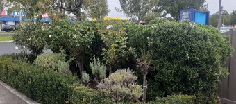 特拉拉根市園汽車旅館