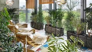 A modern lounge area with wicker furniture, potted plants, and large windows offering a city view.