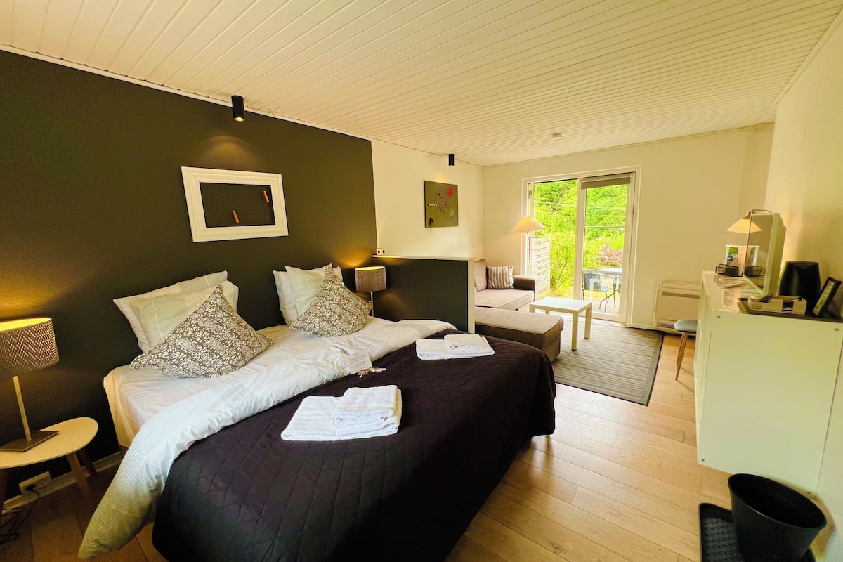 premium double room, terrace | desk, laptop workspace, soundproofing, free wifi