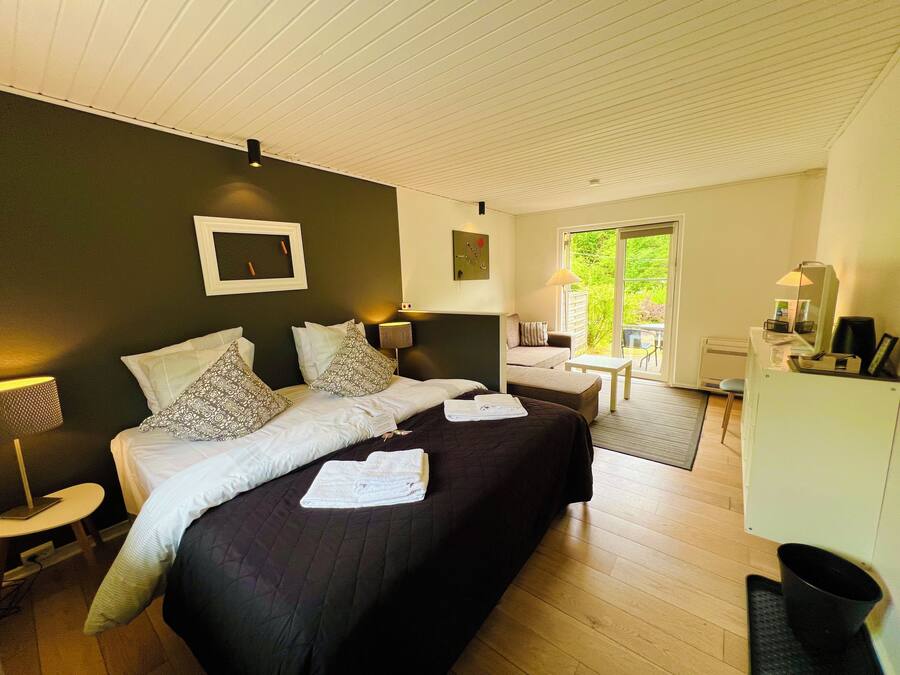 Premium Double Room, Terrace | Desk, laptop workspace, soundproofing, free WiFi