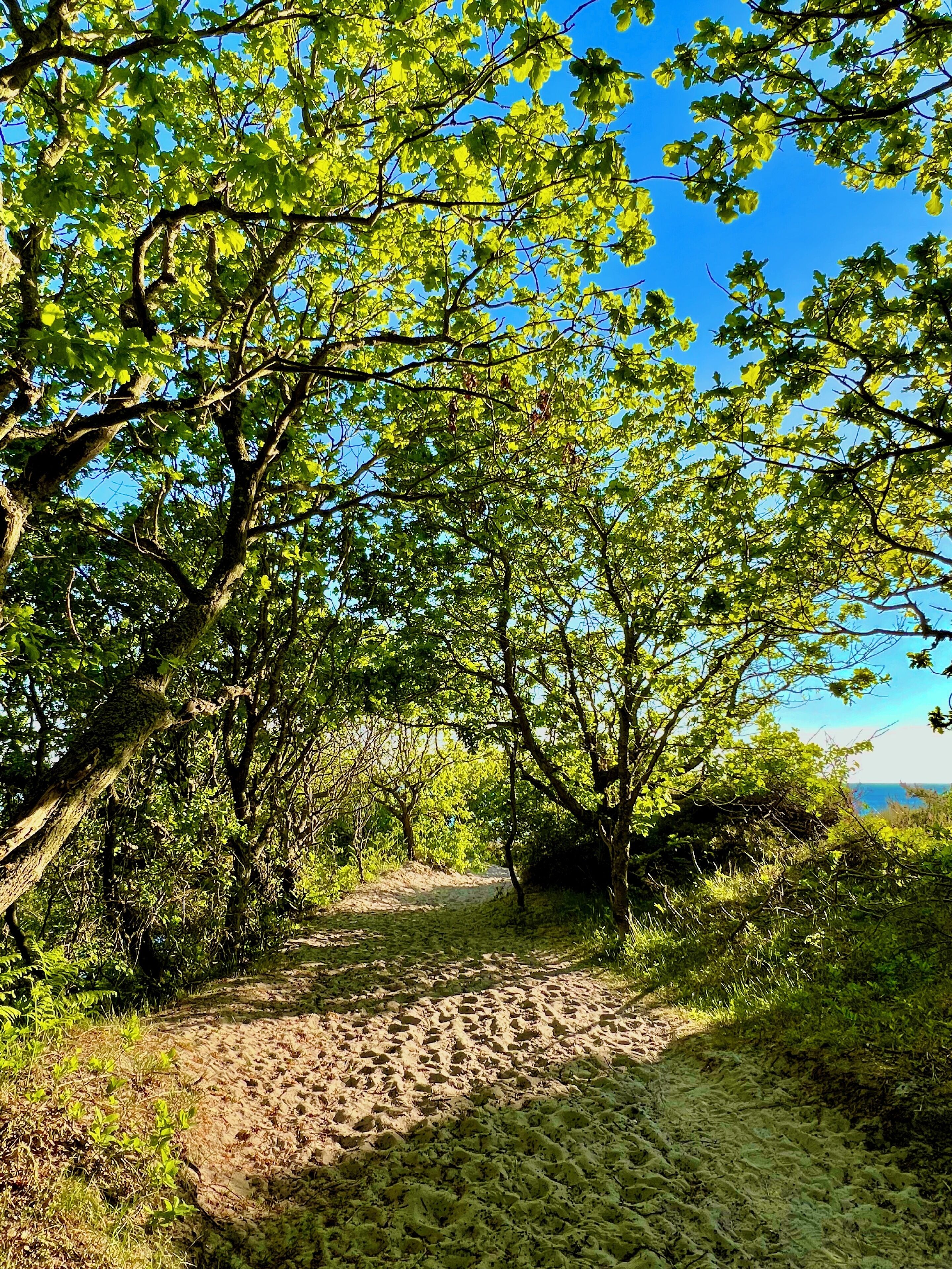 beach nearby, fishing