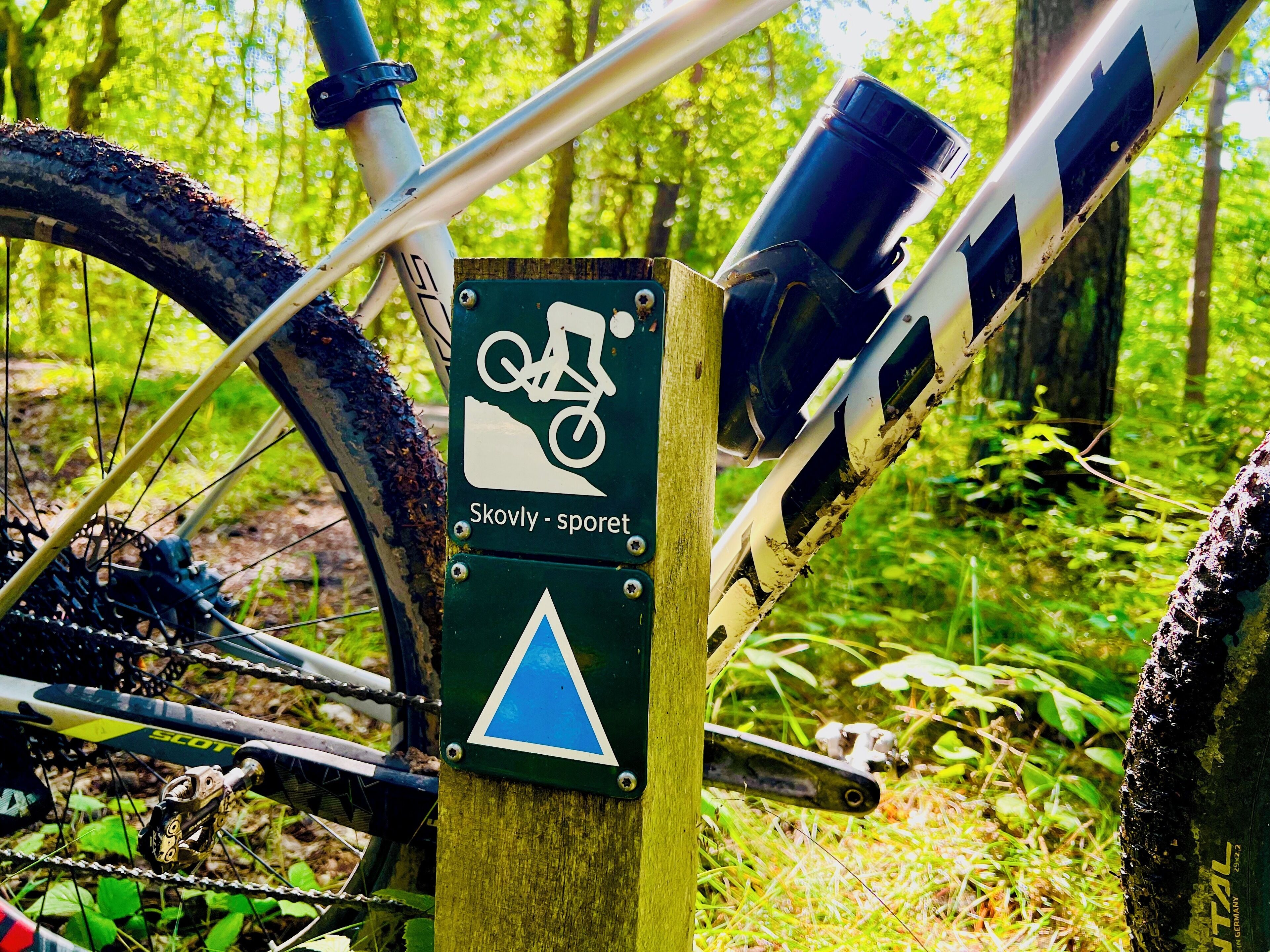 Poste de madera con un símbolo de bicicleta y una señal triangular, que indica un carril bici.