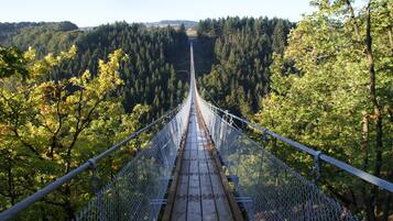 A suspension bridge with a wooden walkway and metal railings, surrounded by dense forest.
