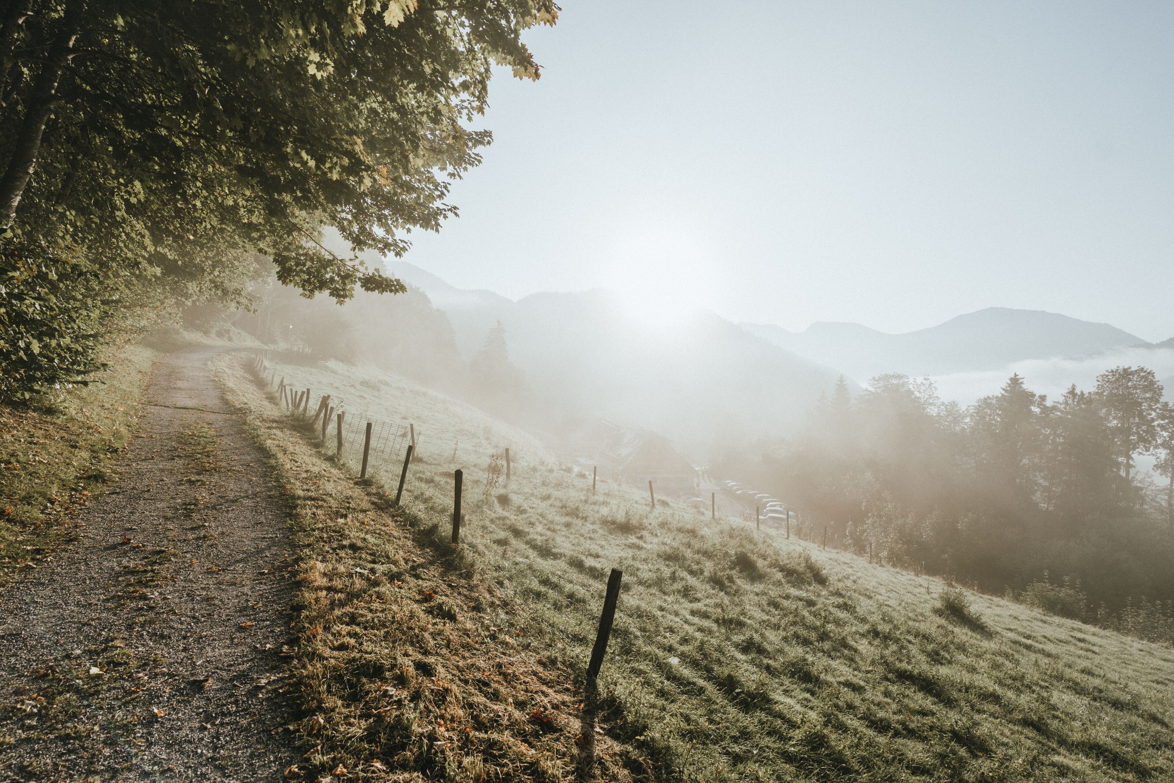 A misty path with a fence, leading to a mountainous landscape.