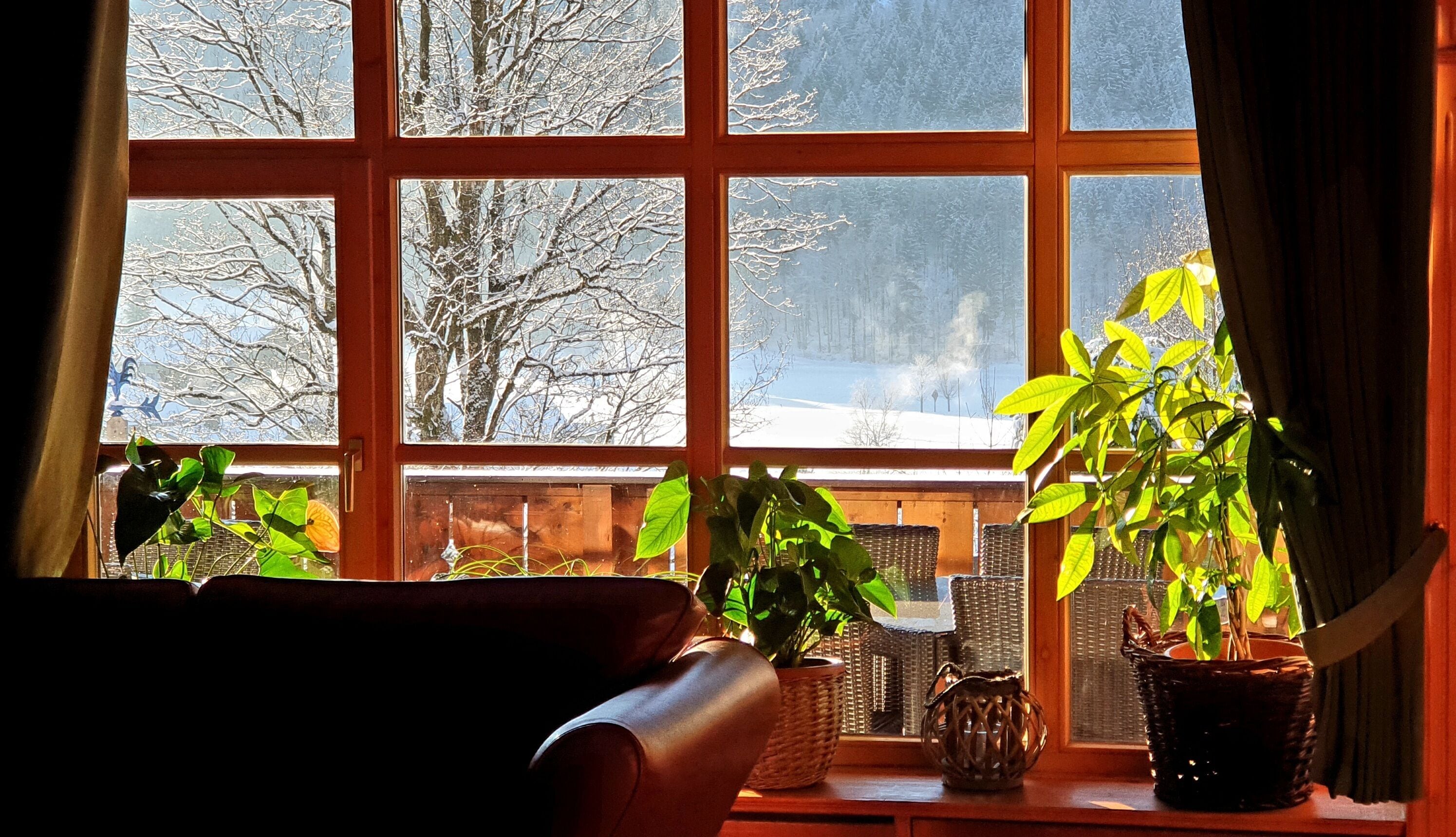 land view from property