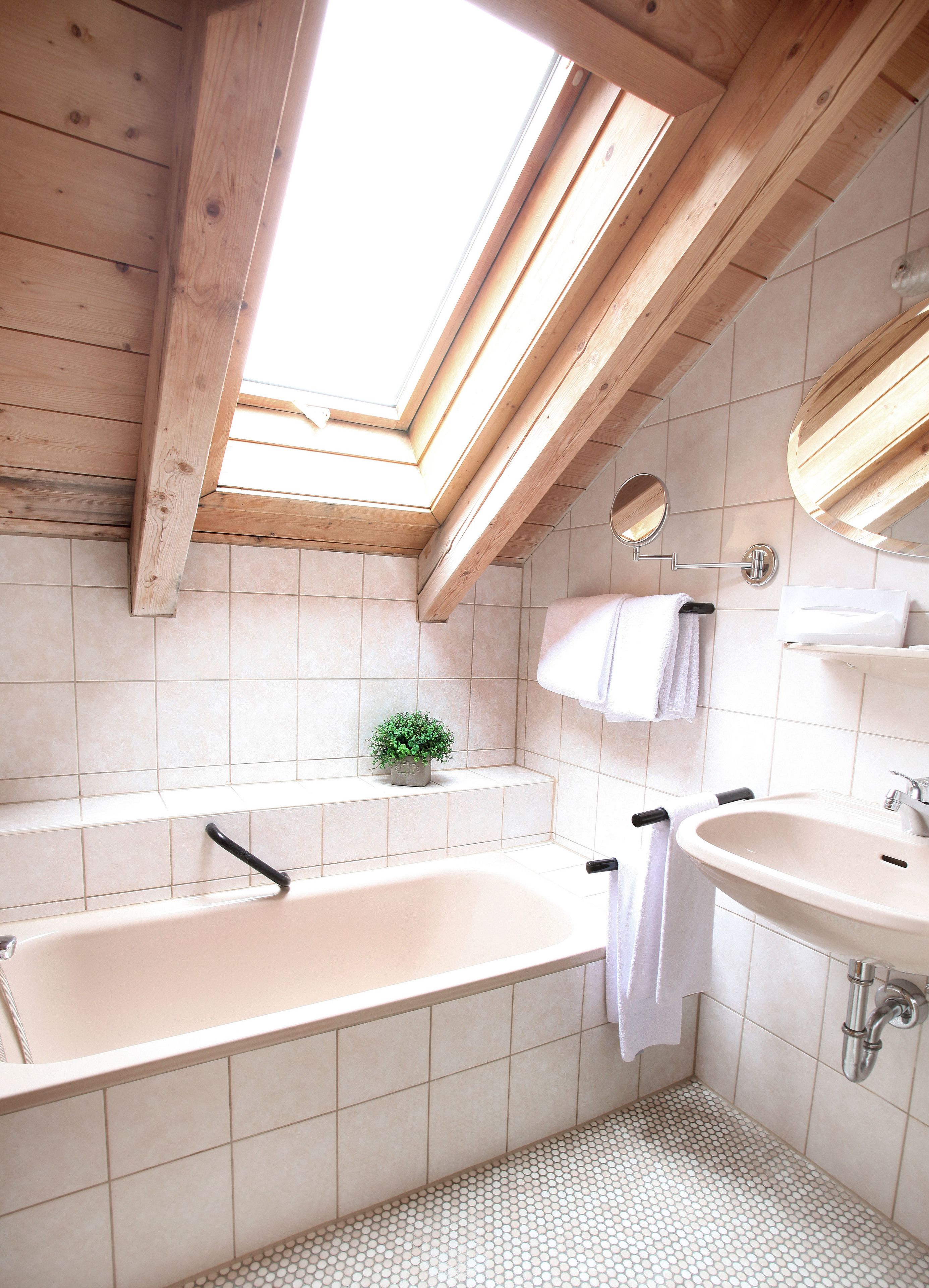 A bathroom with a skylight, a bathtub, a sink, and a small potted plant.