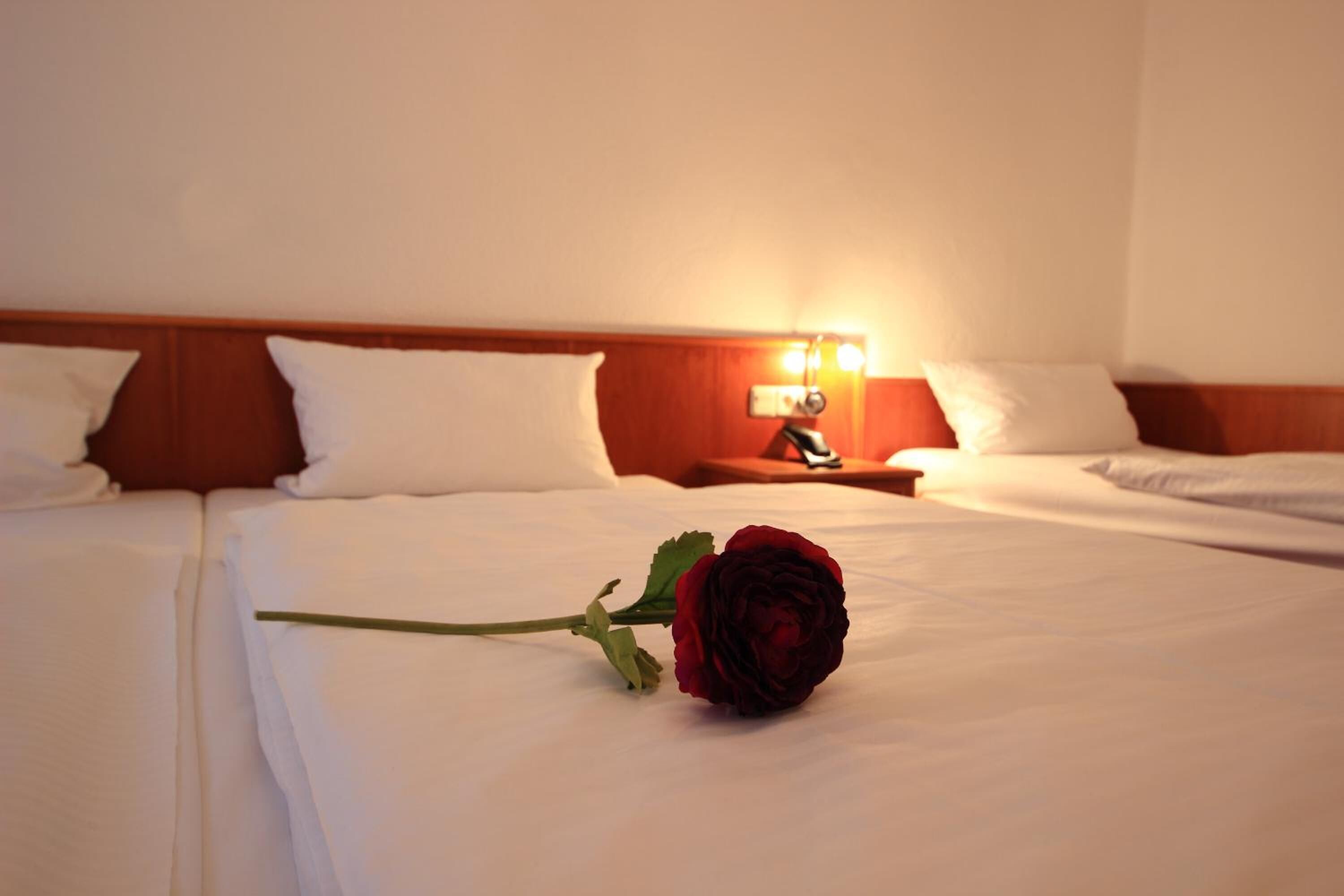 A hotel room with two beds, a bedside table with a lamp, and a single red rose on the bed.