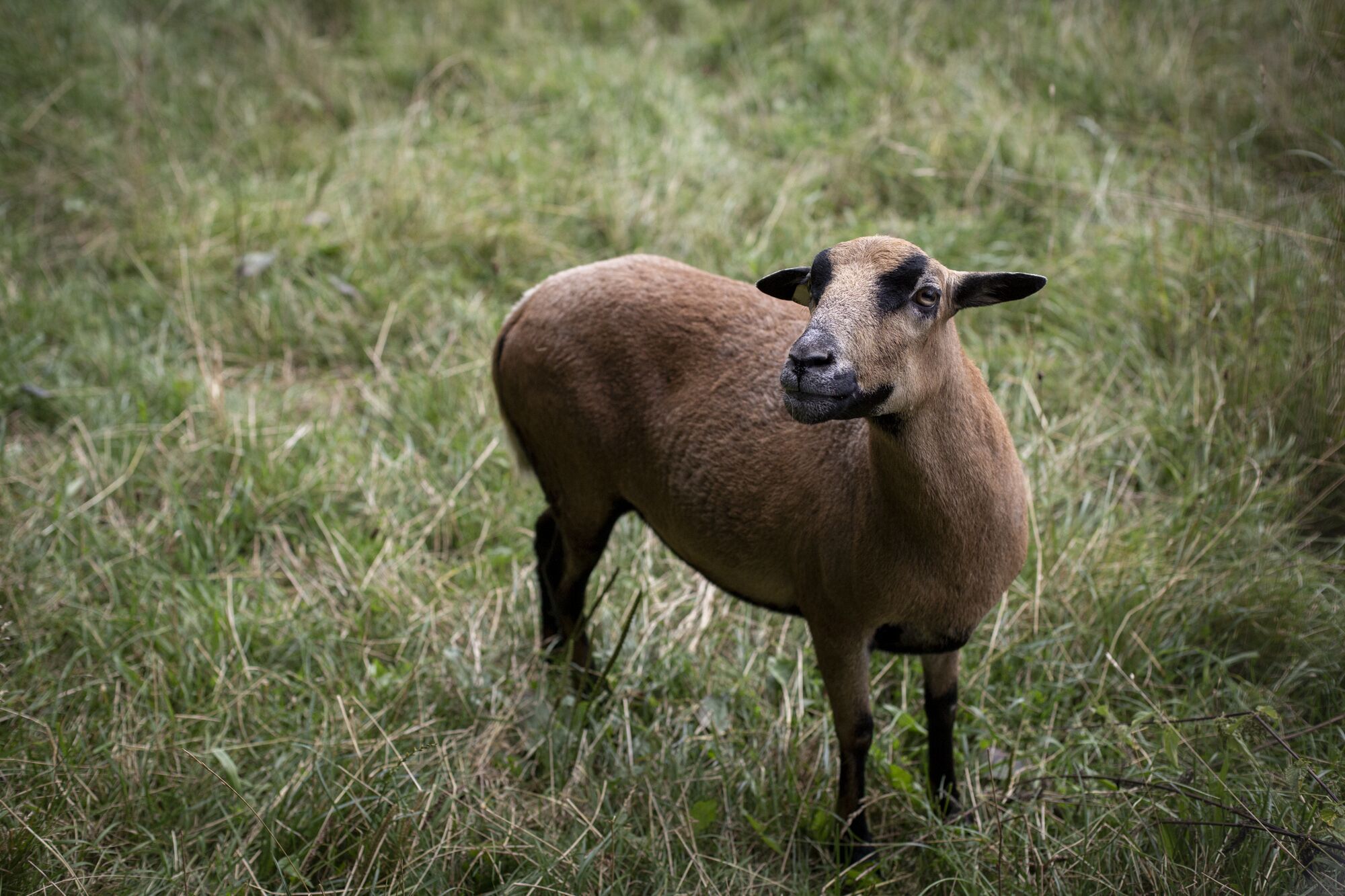 children’s activities