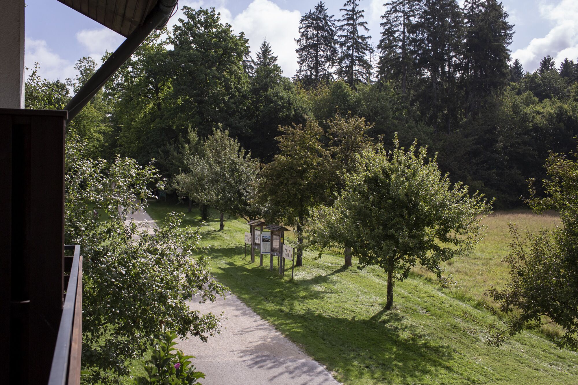 standard single room | view from room