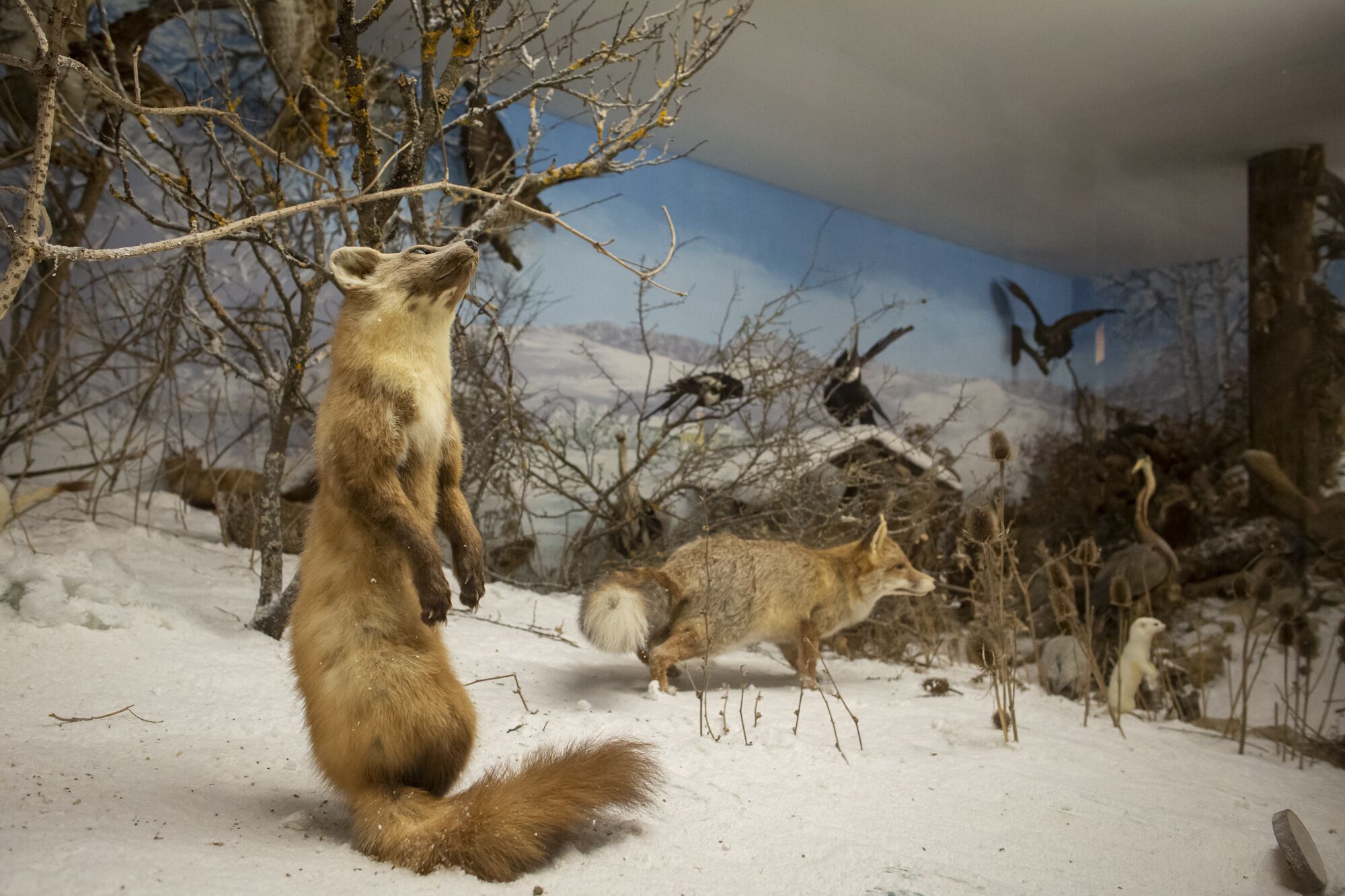 children’s activities