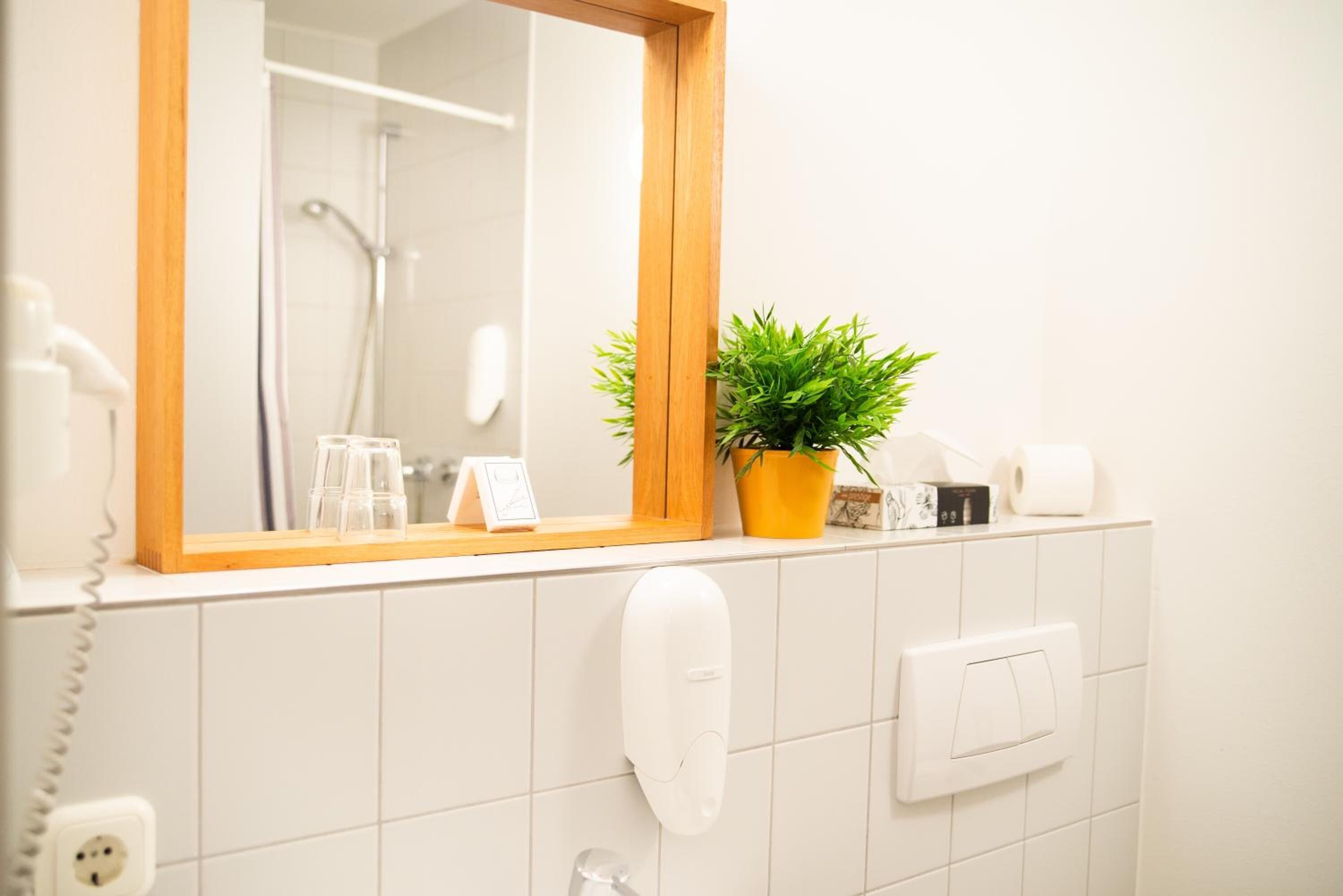 hair dryer, towels, soap, shampoo