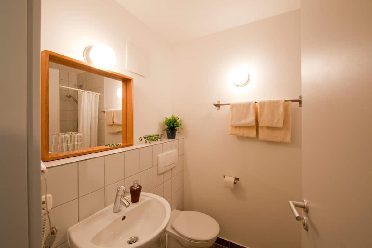 hair dryer, towels, soap, shampoo