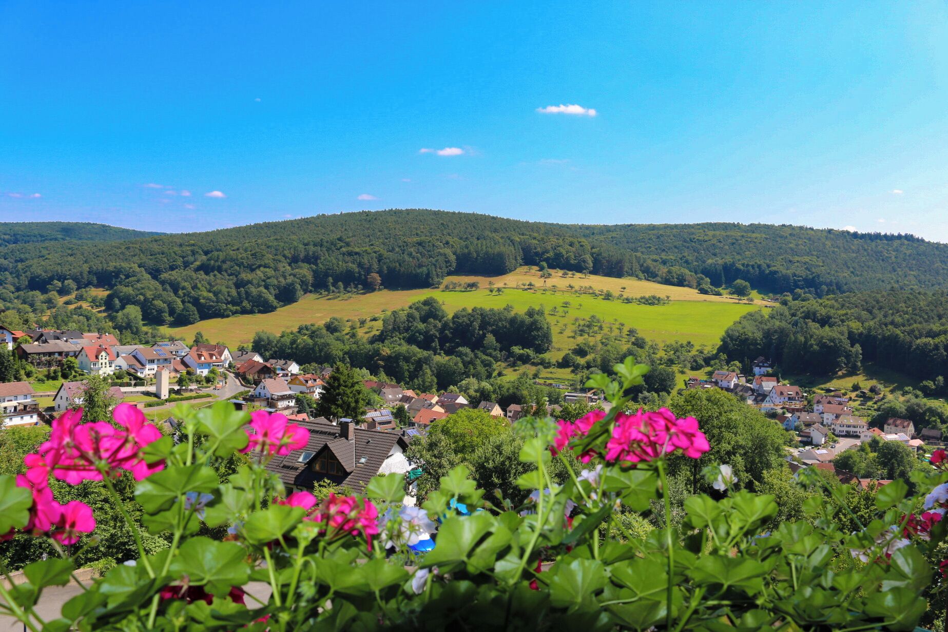 Un village rural avec des maisons et des champs verdoyants.