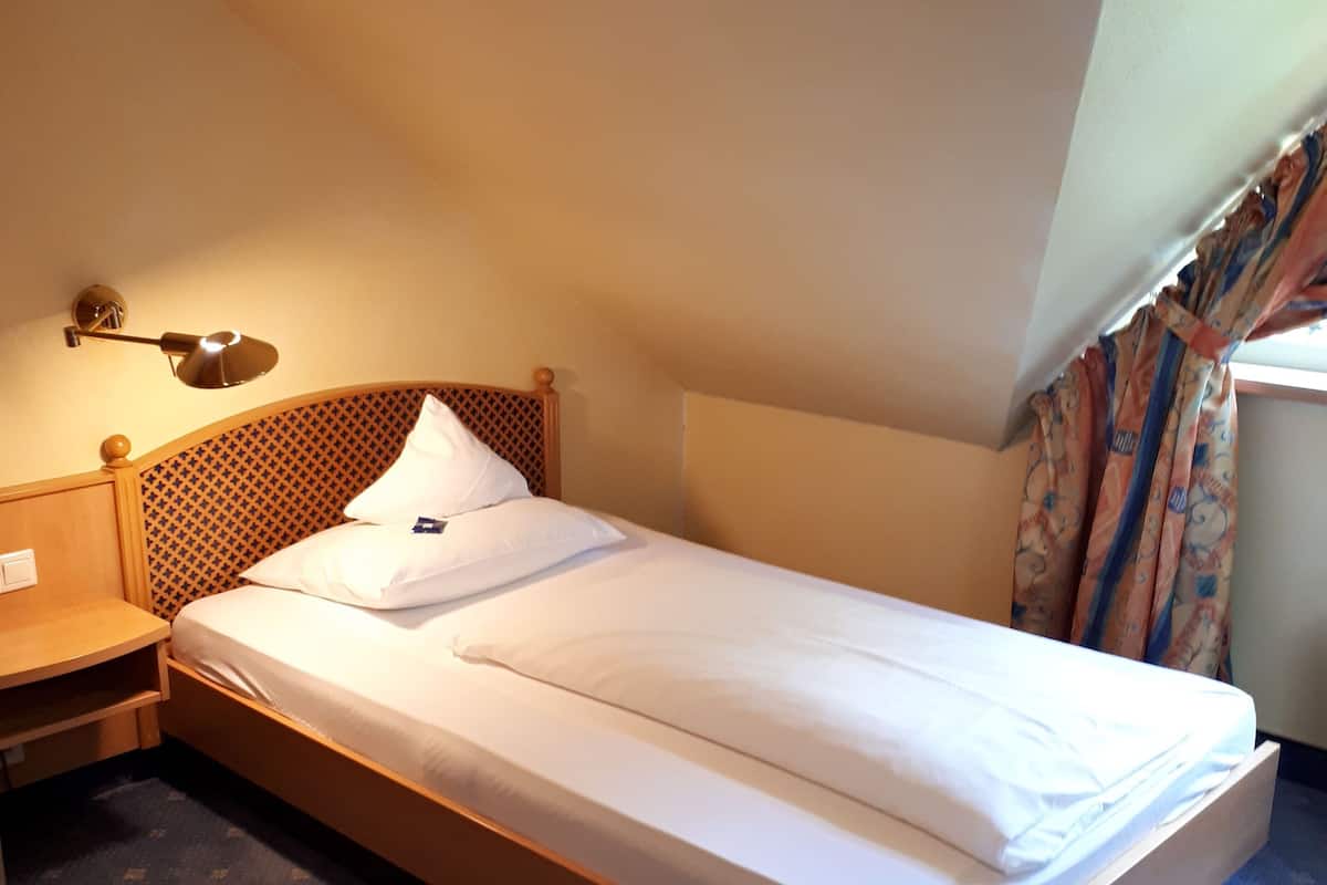 Economy Single Room, Annex Building (100m from main building) | Minibar, in-room safe, desk, blackout curtains