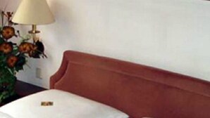 A hotel room with two beds, a wooden headboard, a lamp, and a vase with flowers. - Hotel Alfa (Neu-Isenburg)
