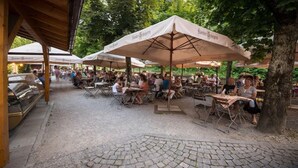 Ein Außenbereich mit Essbereich, Tischen und Stühlen unter Sonnenschirmen, umgeben von Bäumen.
