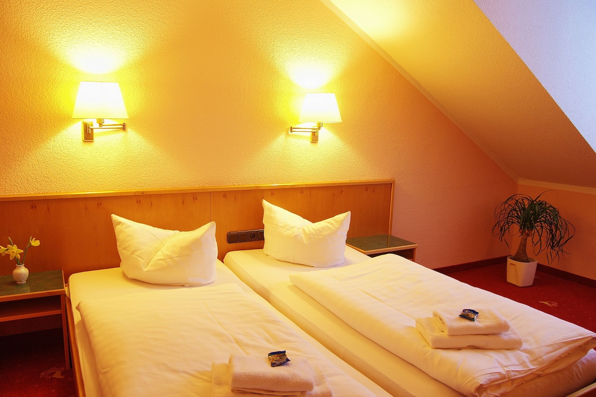 standard double room | desk, blackout curtains, free wifi, bed sheets