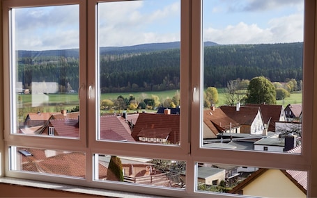 Vista desde la habitación