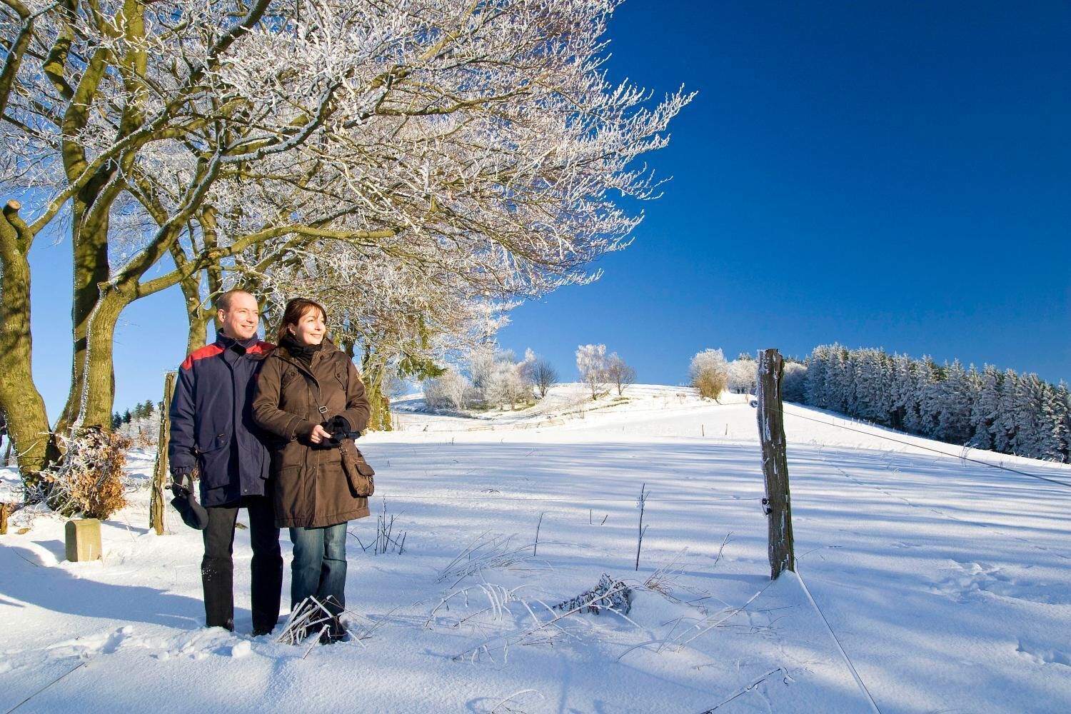 A couple standing in a snowy landscape with bare trees and a clear blue sky.