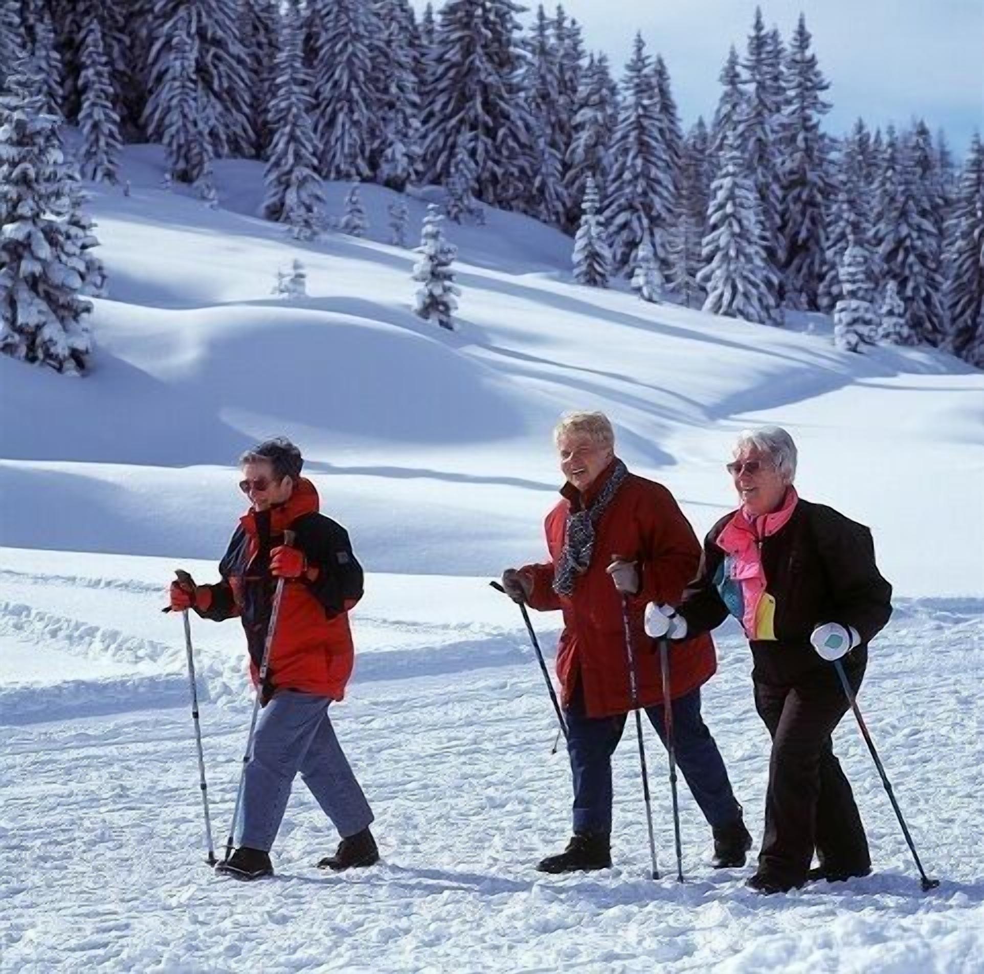 Three people cross-country skiing on a snowy slope with trees in the background.